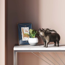 Money Box Rockstar Pig Kare Design