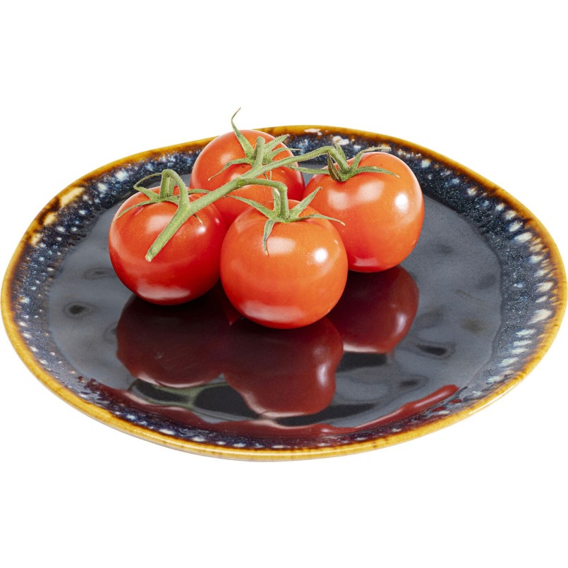 Assiette Lio bleu nuit Ø26cm