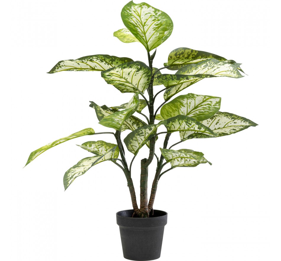 Deco plant Dieffenbachie 100cm Kare Design Deco plant Dieffenbachie 100cm Kare Design