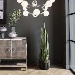 Kunstplanten Sansevieria 155cm Kare Design