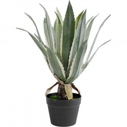 Kunstplanten agave 50cm Kare Design