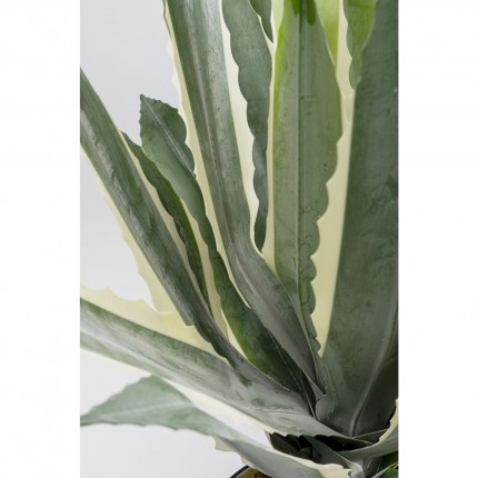 Kunstplanten agave 50cm Kare Design