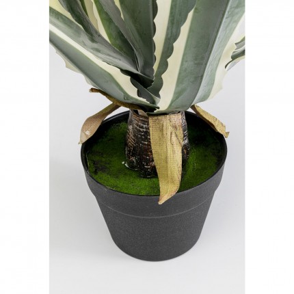 Kunstplanten agave 50cm Kare Design