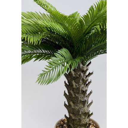 Deco plant Cycas 70cm Kare Design Deco plant Cycas 70cm Kare Design