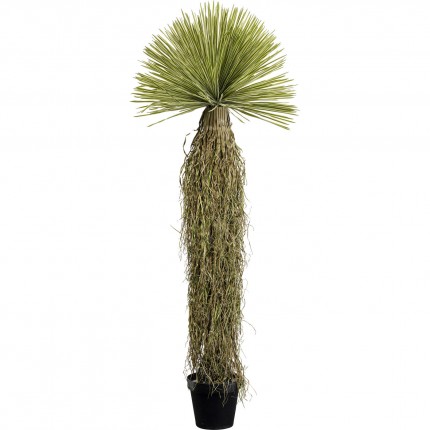 Deco plant Yucca 180cm Kare Design Deco plant Yucca 180cm Kare Design