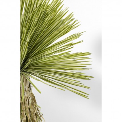 Deco plant Yucca 180cm Kare Design Deco plant Yucca 180cm Kare Design