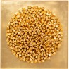 XL gouden 3D wanddecoratie - Mikado - Kare Design