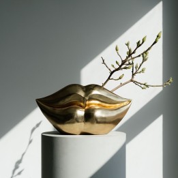 Vaas lippen goud Kare Design