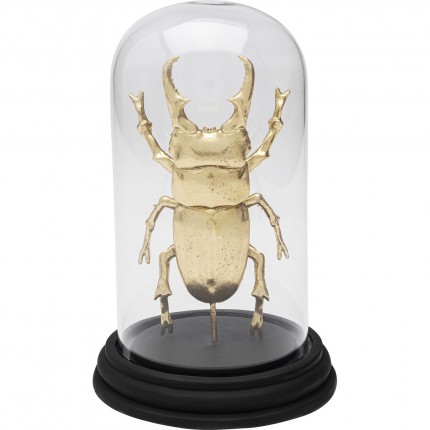 Woonaccessoires Stag Beetle goud Kare Design