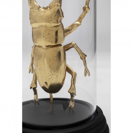 Woonaccessoires Stag Beetle goud Kare Design