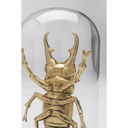 Woonaccessoires Stag Beetle goud Kare Design