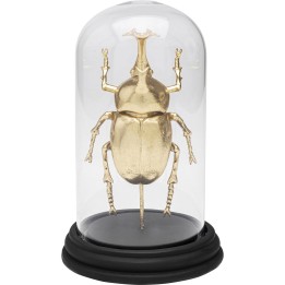 Objet décoratif Stag Beetle 20cm