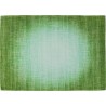 Tapis Aurora vert 170x240cm