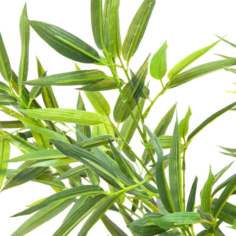 Decoratieve bamboeplant - Bamboeboom - Kare Design