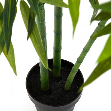 Deco Plant bamboo 200cm Kare Design