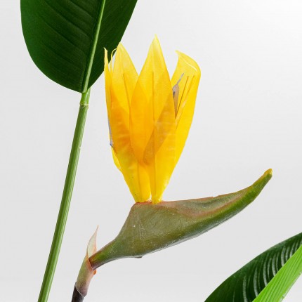 Kunstplanten Strelitzia Reginae 190cm Kare Design Kunstplanten Strelitzia Reginae 190cm Kare Design