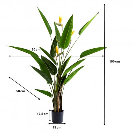 Kunstplanten Strelitzia Reginae 190cm Kare Design Kunstplanten Strelitzia Reginae 190cm Kare Design
