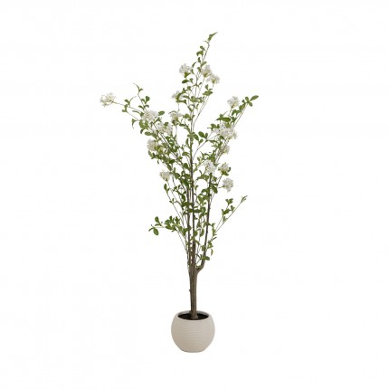 Decoratie plant Plumbago 152cm Kare Design