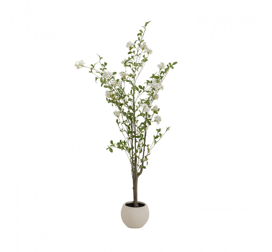 Decoratie plant Plumbago 152cm Kare Design Decoratie plant Plumbago 152cm Kare Design