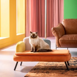 Oranje fluwelen bed voor huisdieren - Diva - Kare Design