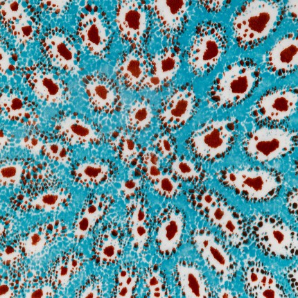 Plate Gioia Ø27cm (4/set) Kare Design