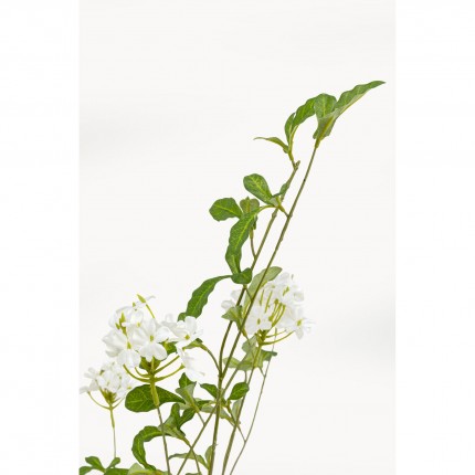 Deco plant Plumbago 152cm Kare Design