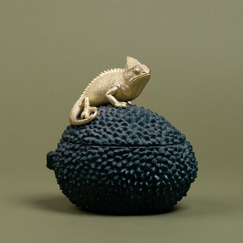Groene kameleon doos - Kare Design