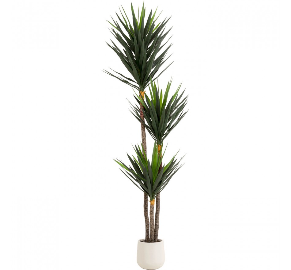 Deco Plant Yucca 250cm Kare Design