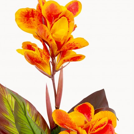 Deco Plant Canna Lily 115cm Kare Design