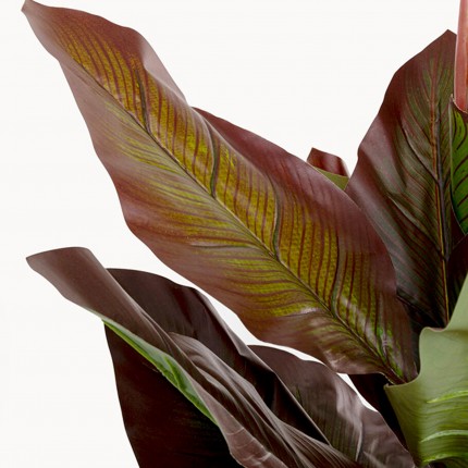 Kunstplanten Canna Lily 165cm Kare Design