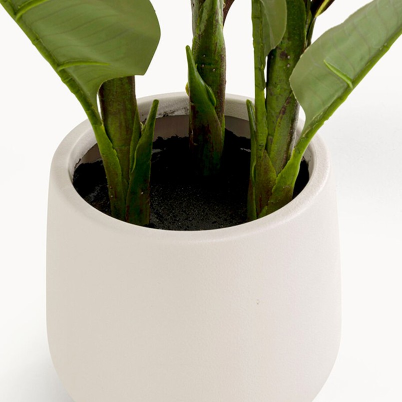 Plante décorative 165 cm - Canna Lily - Kare Design