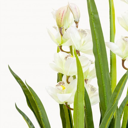 Kunstplanten orchidee 100cm Kare Design
