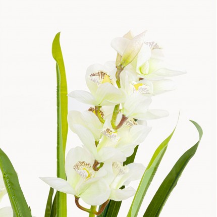 Deco Plant orchid 100cm Kare Design