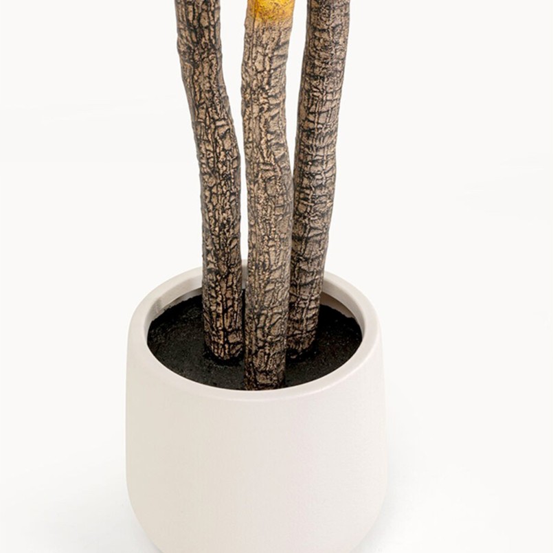 Deco Plant Yucca 250cm Kare Design