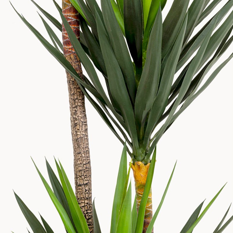 Kunstplanten Yucca 250cm Kare Design