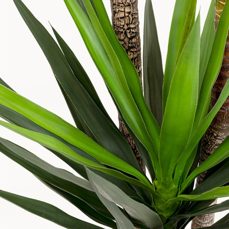 Kunstplanten Yucca 250cm Kare Design