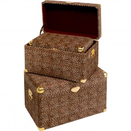 Trunk Wild Animal leopard (3/Set) Kare Design