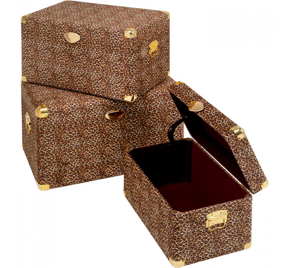 Trunk Wild Animal leopard (3/Set) Kare Design