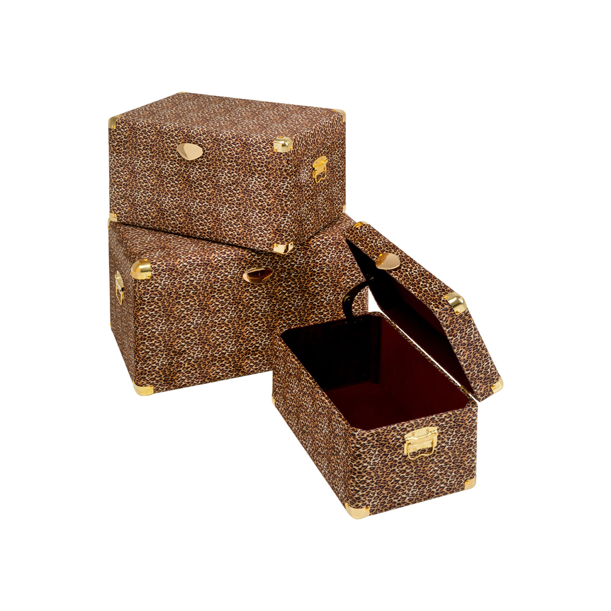 Coffre Wild Animal Leo (3/Set)
