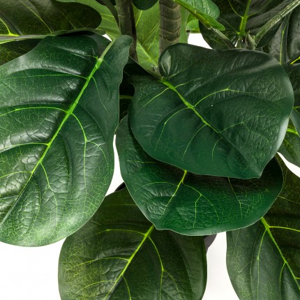 Kunstplanten Ficus Lyrata 120cm Kare Design