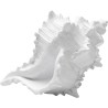 Deco conch white 19cm Kare Design