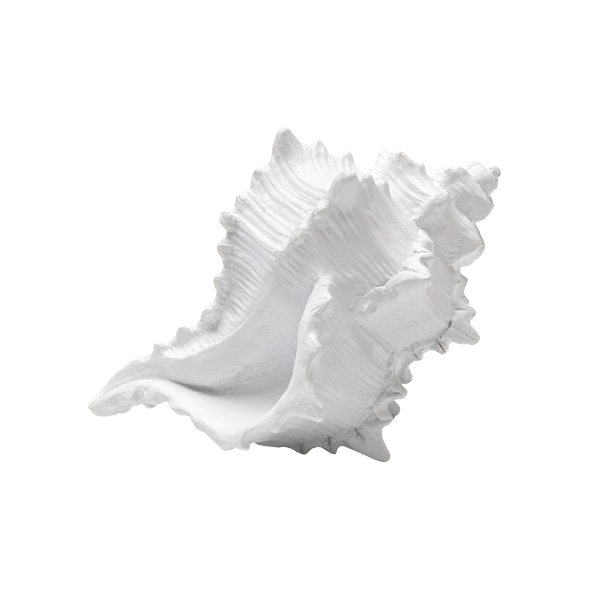 Deco conch white 19cm Kare Design