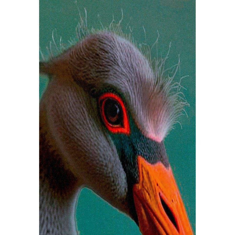 Schilderij meneer flamingo 45x60cm Kare Design