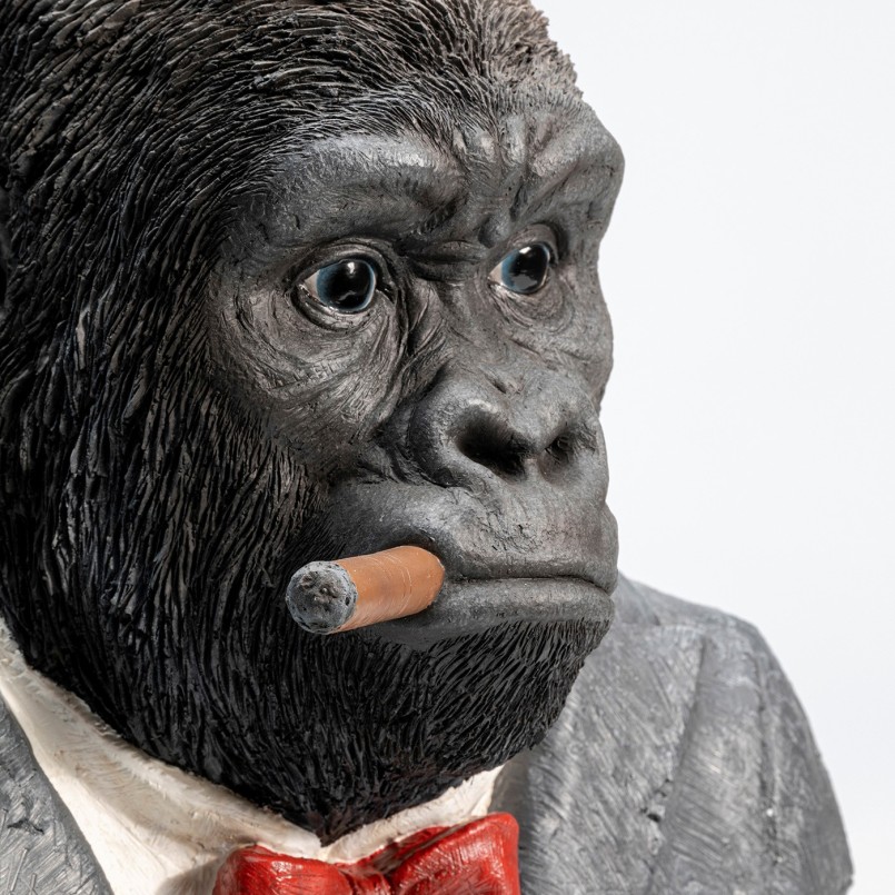 Gorilla pak Kare Ontwerp