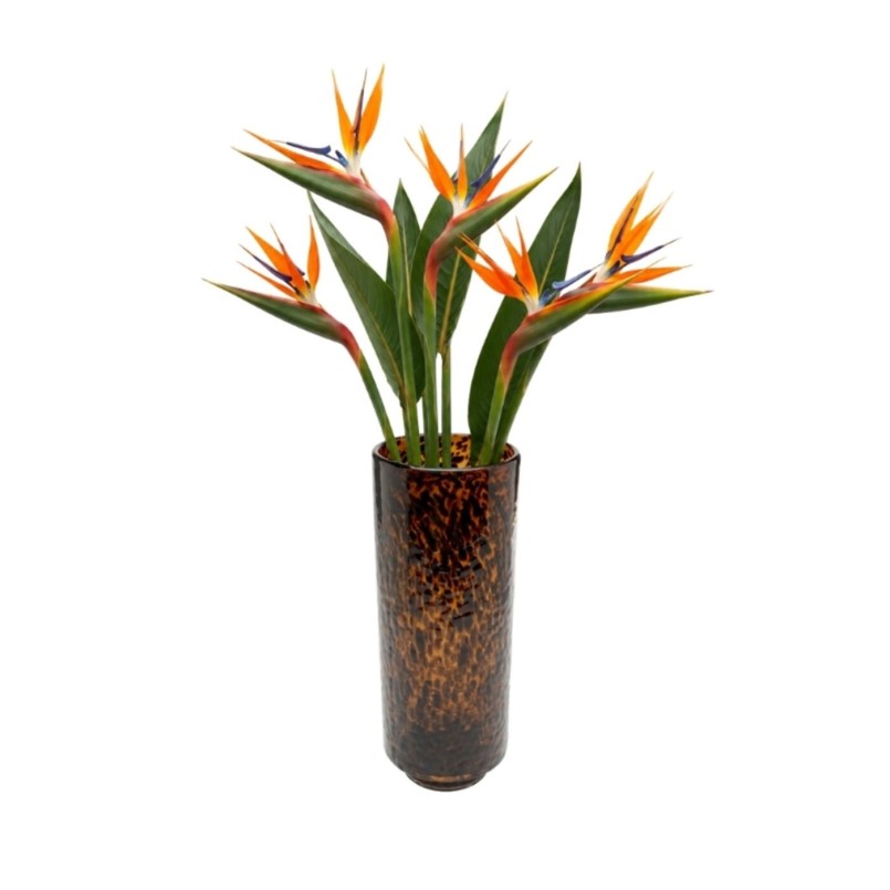 Vaas Caramel 37cm Kare Design