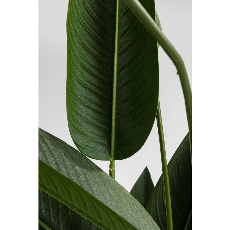 Plante décorative Paradise Flowers 190cm