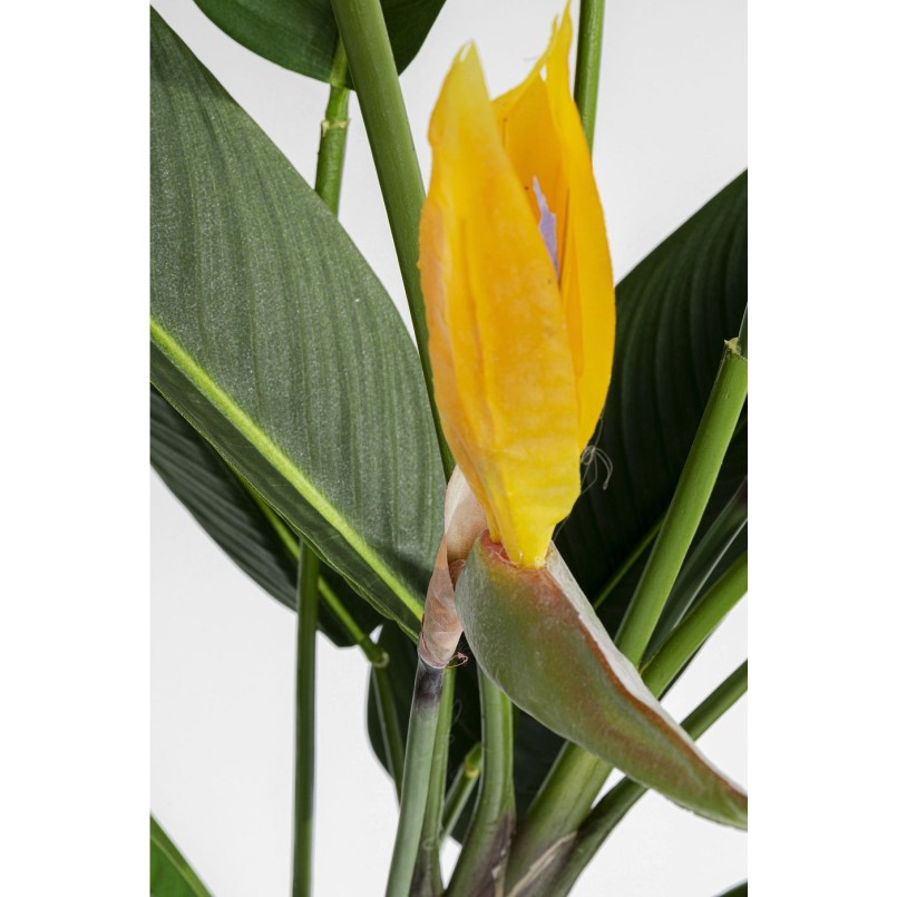 Plante décorative Paradise Flowers 190cm