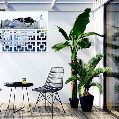 Decorative plant