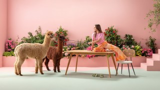 Flowerroom