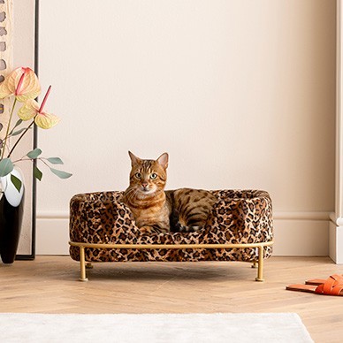 Bed for animals